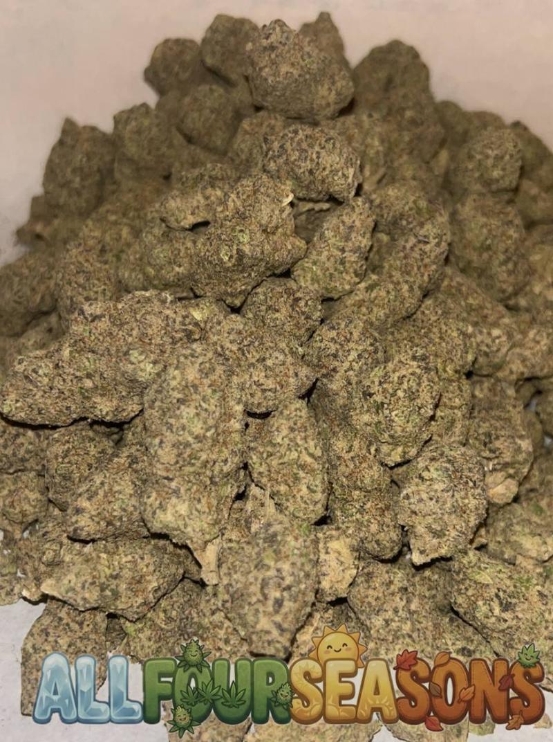 Cali 🇺🇸 (Exotics)