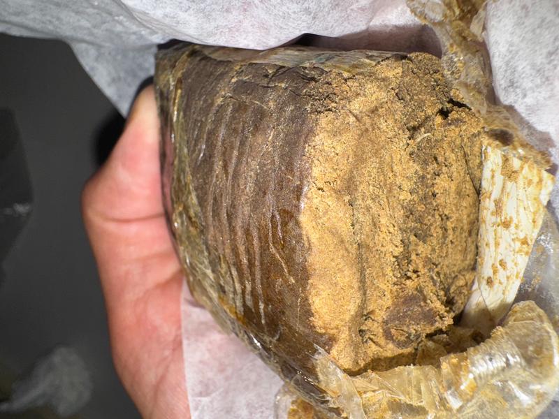 Anis Cream / Premium Frozen