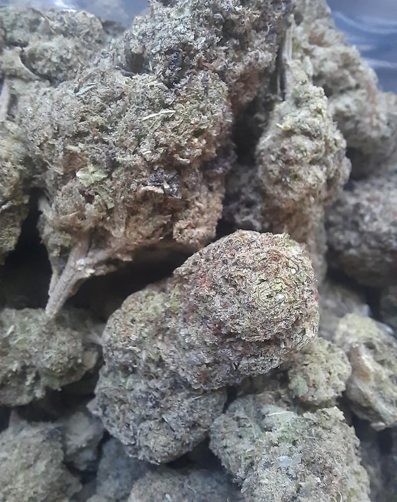 OREOZ - INDICA DOMINANT