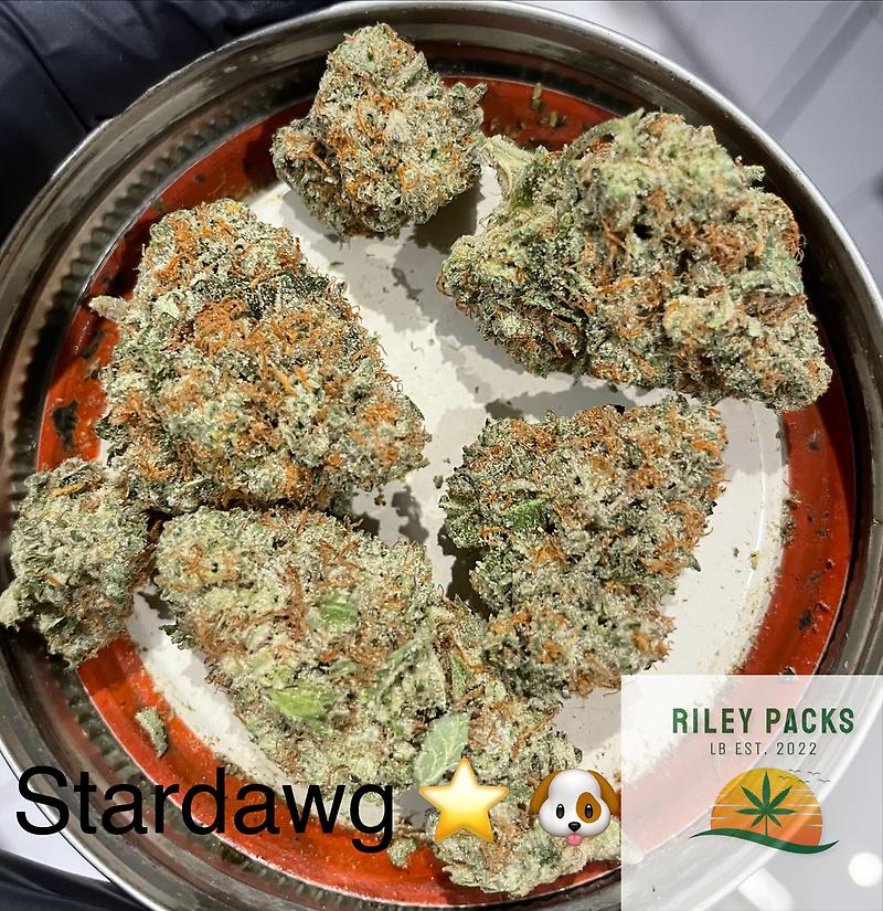 Road Dawg (Stardawg x Biker Kush)