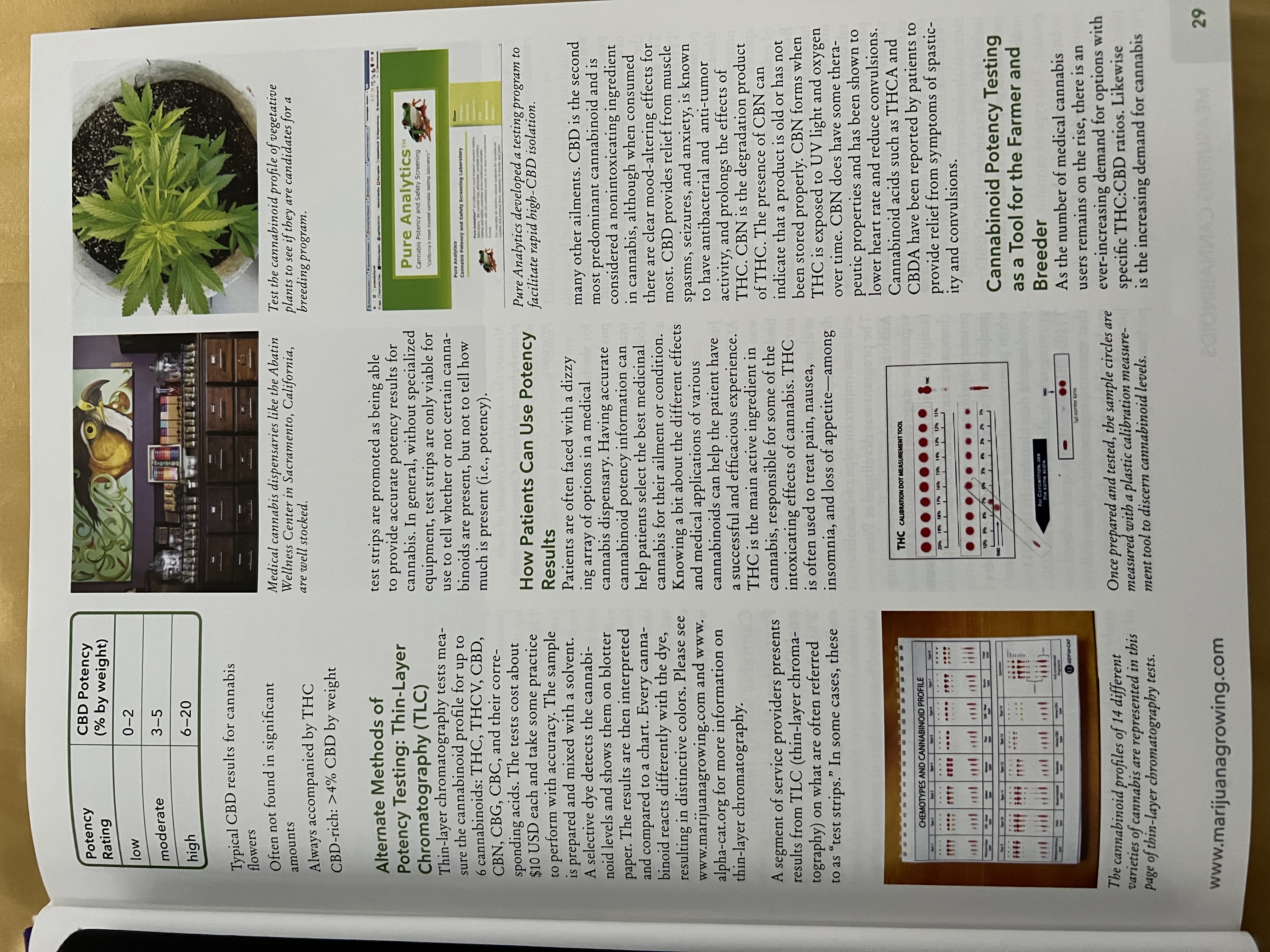 The Cannabis Encyclopaedia by J.C