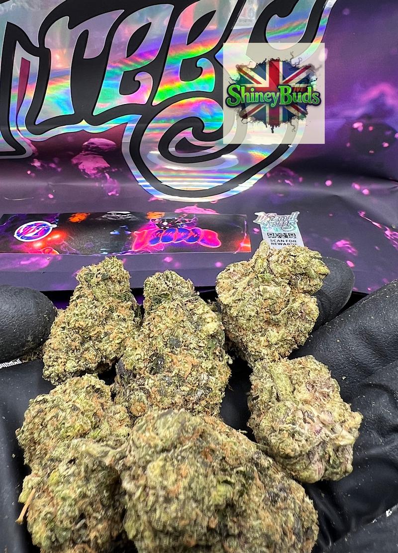 🇺🇸 Voodoo WIZARD TREES