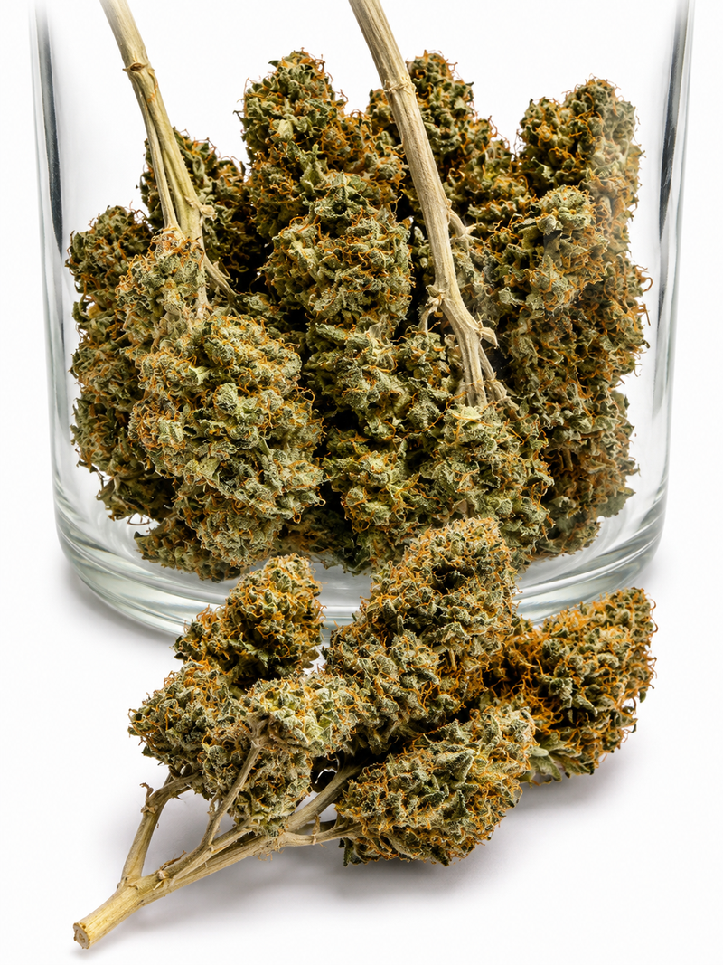 Northern Lights — UK Home Grown | Premium Indoor