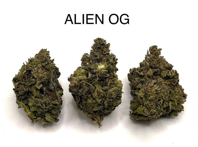 ALIEN OG