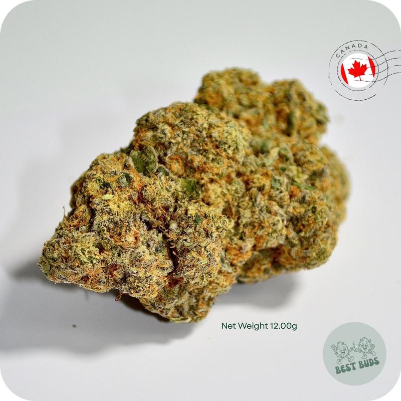 Imported Flower