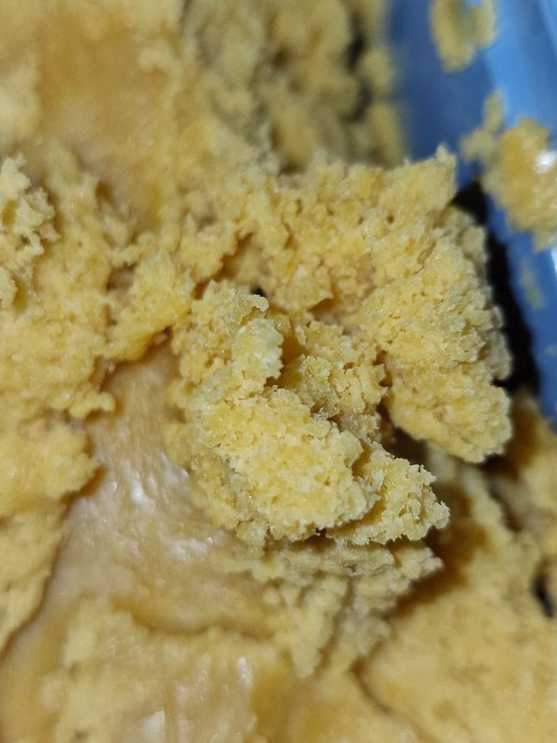 🍊🔥 TANGIE VIBES – £10/g – CITRUS ENERGY UNLEASHED 🔥