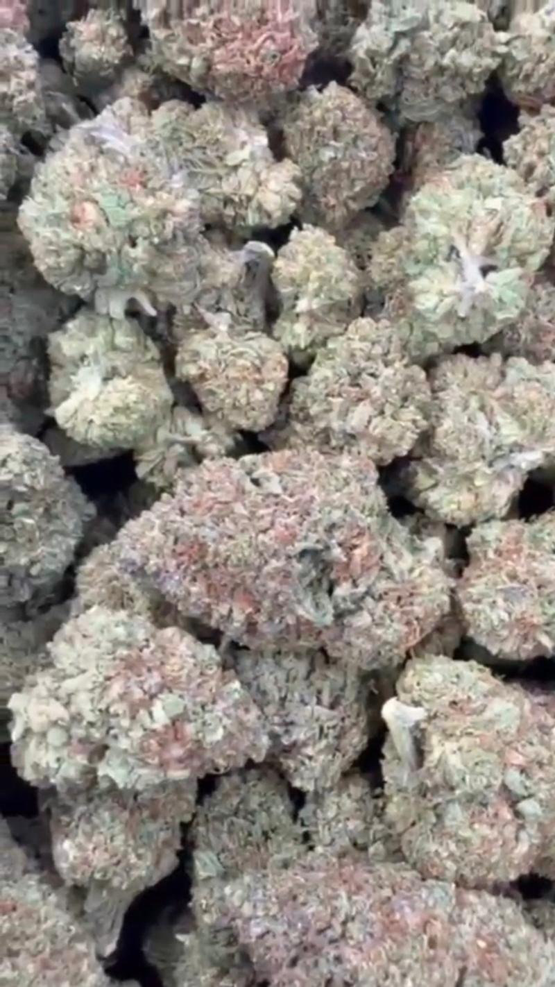 CHERRY BOOM 🍒💥 CALI MIDS