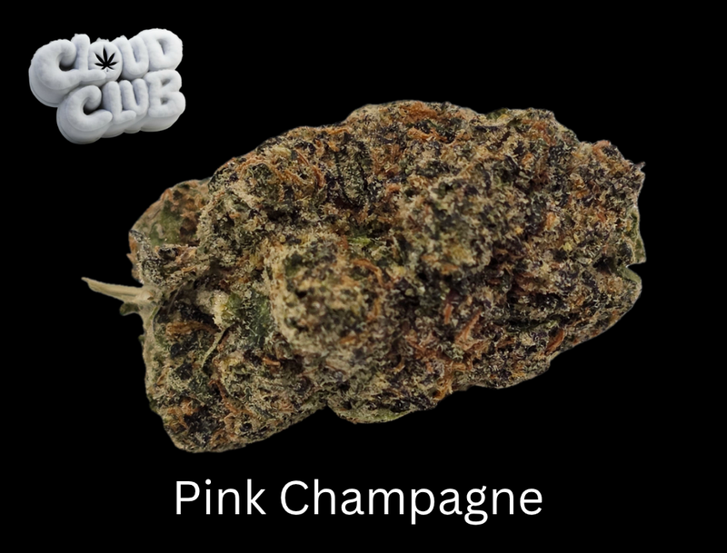 Pink Champagne