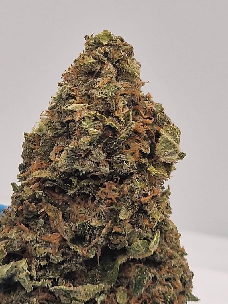 Absolutely Dank UK Grown Biscotti - Crazy Terps