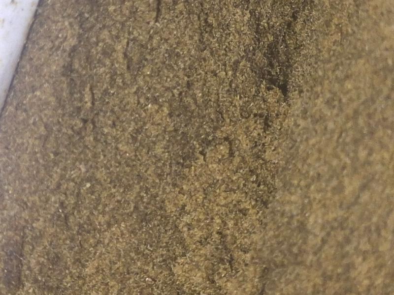 Blonde hash. Top grade