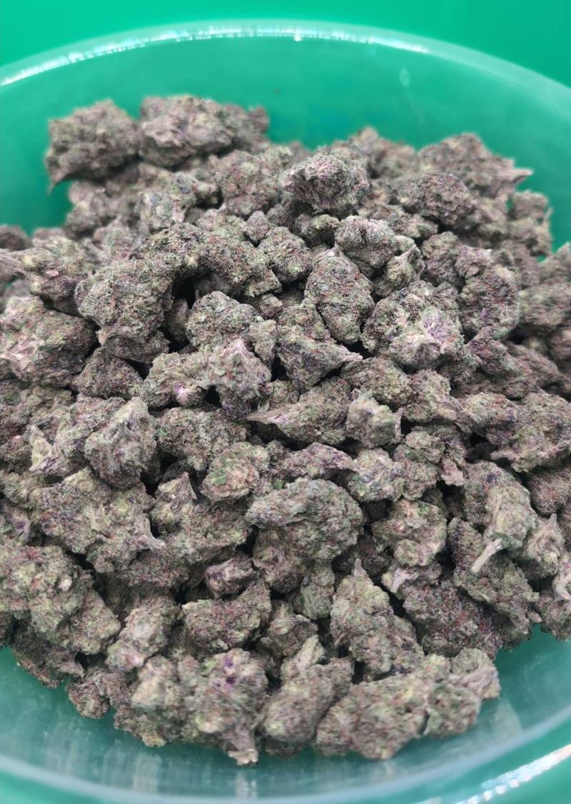 RAMBO EXOTICS - 10/10 BUD 🔥🔥🔥