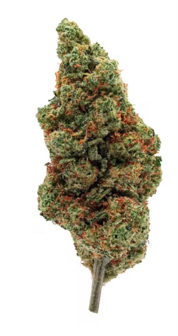 Amnesia Haze | UK Home Grown Sativa | Free Tracked 24