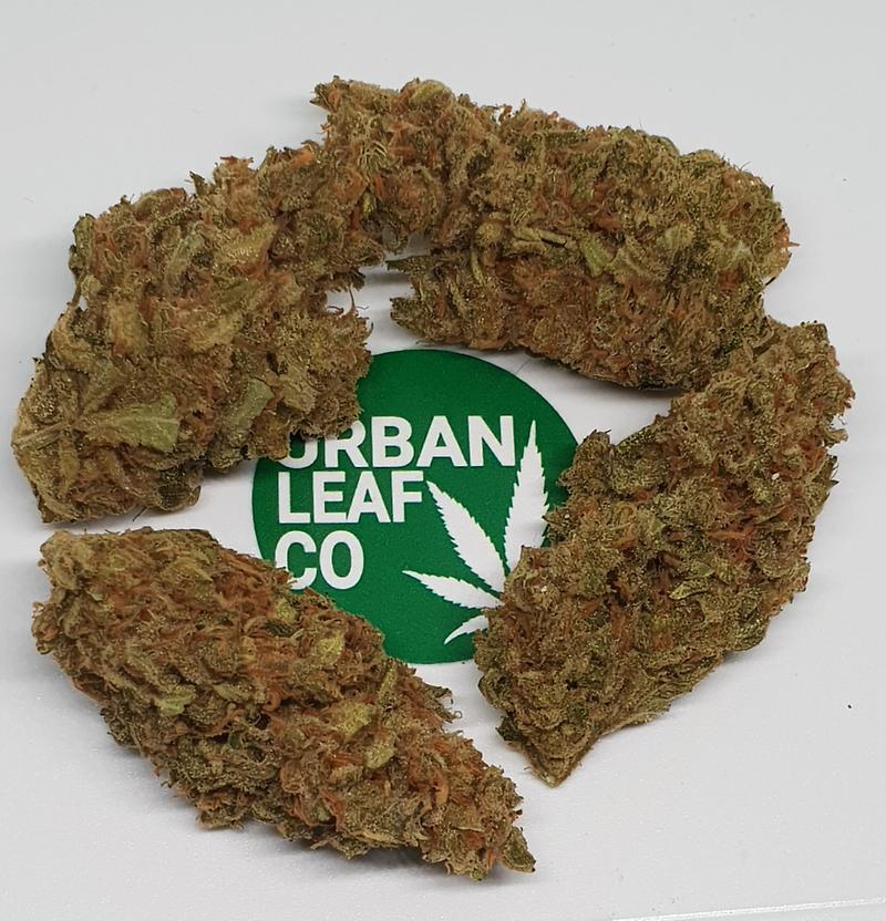 **SOUR CANDY AMNESIA - (FREE RM 1ST CLASS POST)**