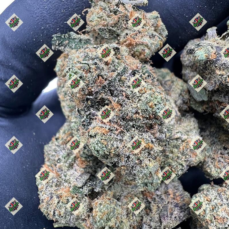 🇬🇧 Luna 11 by Cali Po