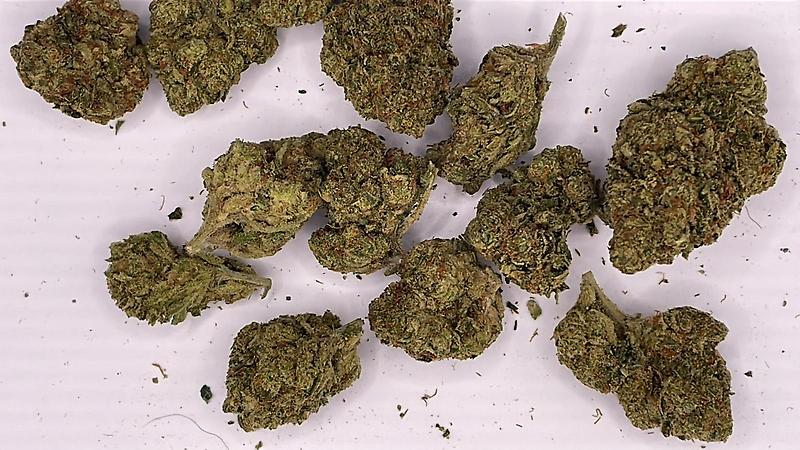 Jelly Rancher-EXOTICS