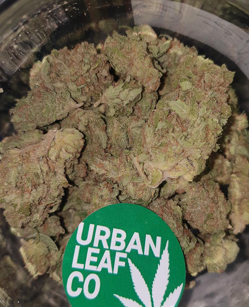 **FRUIT HAZE (FREE RM 1ST CLASS)**