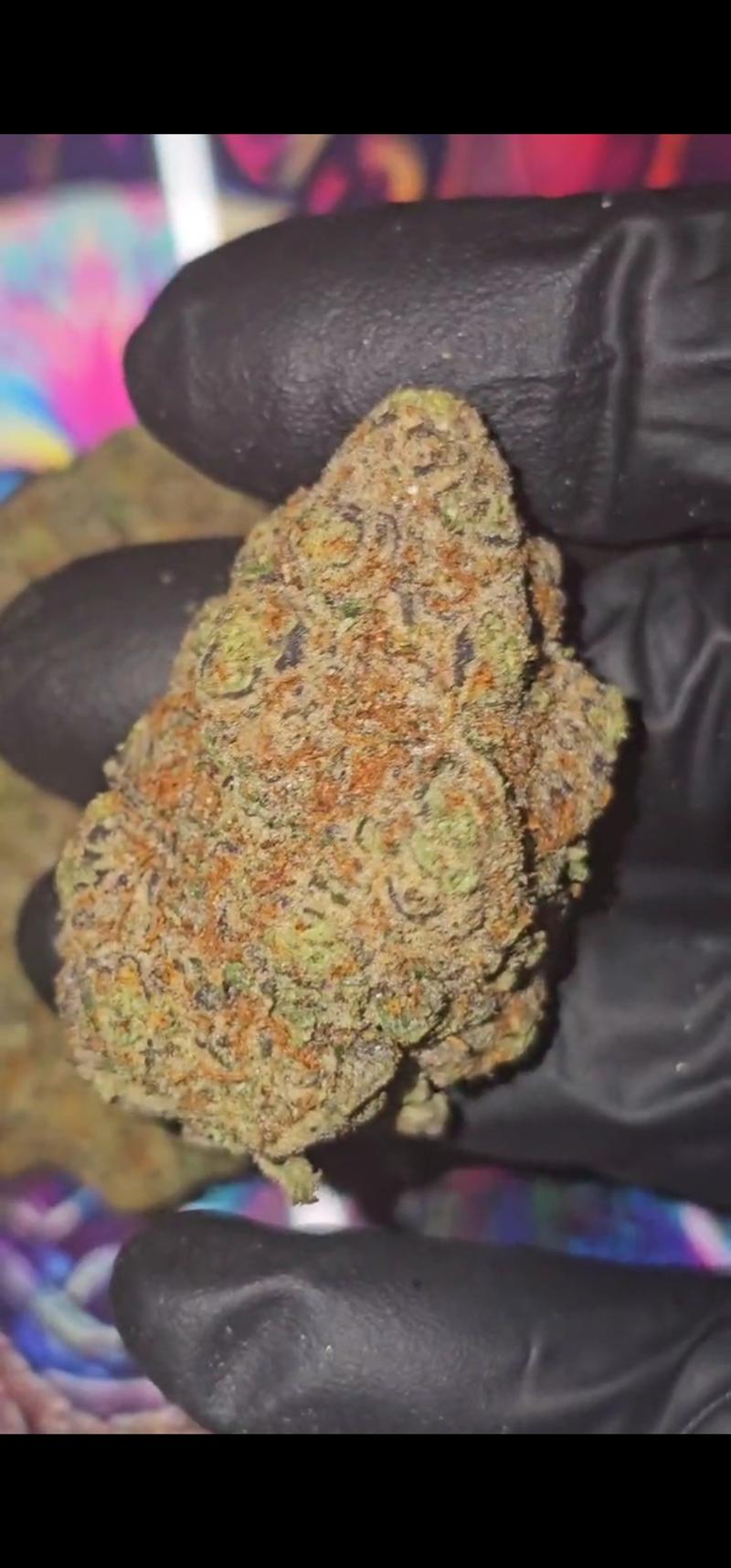TOPS BLACKBERRY 🔥