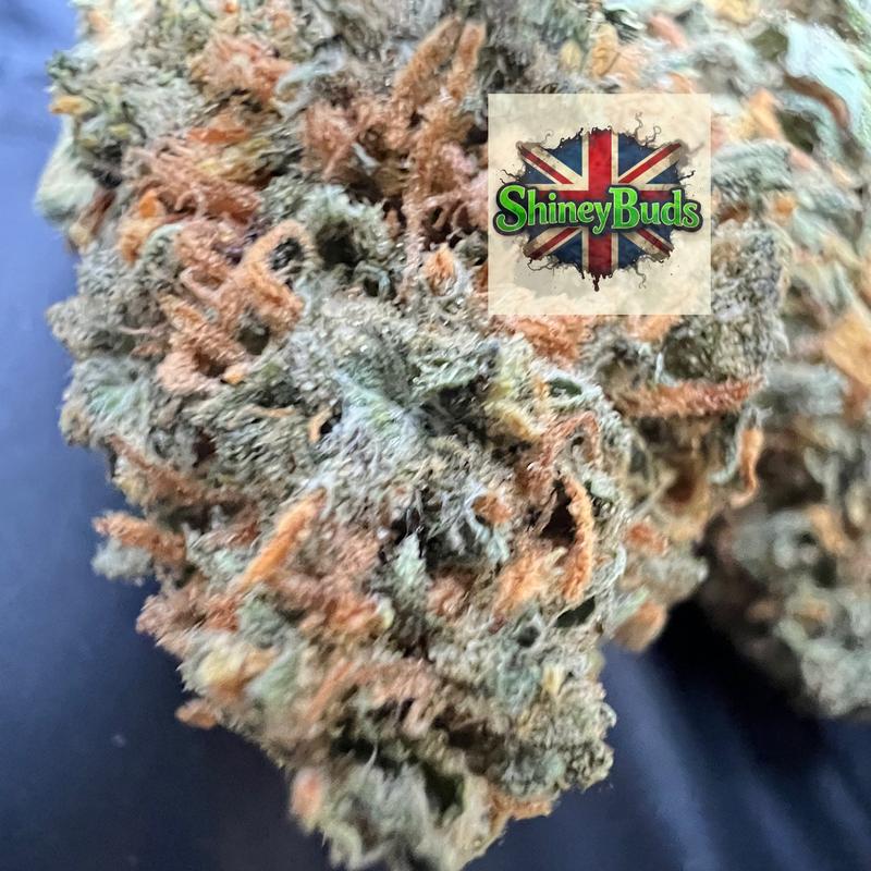 🇬🇧 Amnesia Haze