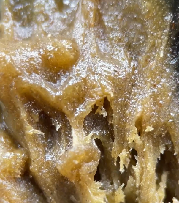 hash rosin