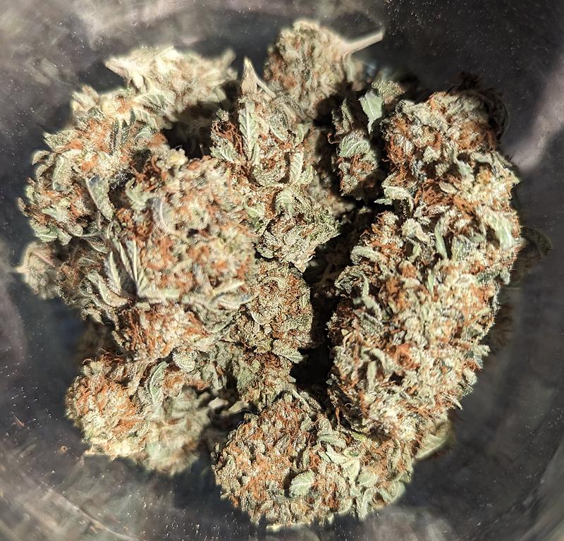 Santa's Stardawg 25% THC