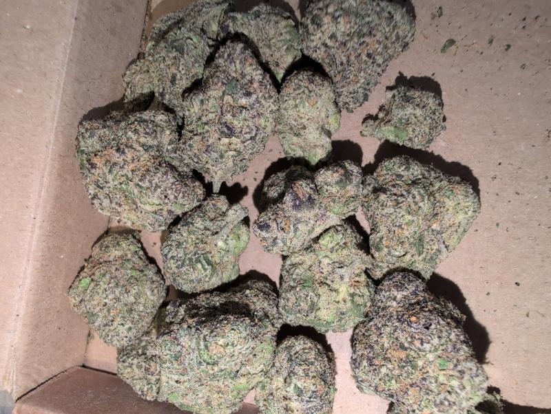 Top Shelf Branded Loose Cali Zoda by Umami Seed Company