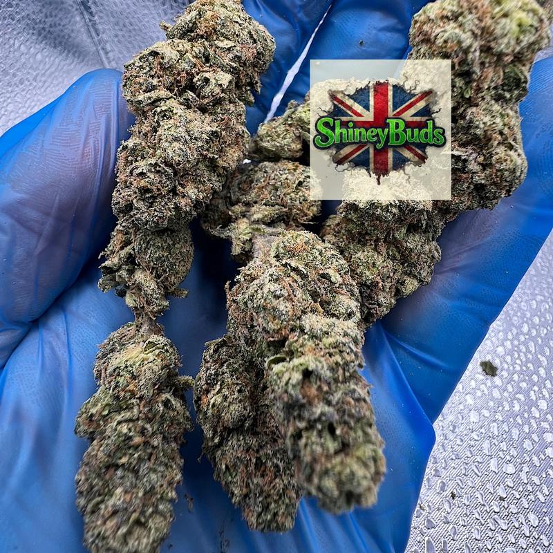 🇺🇸 Candy Zoap (Mids)