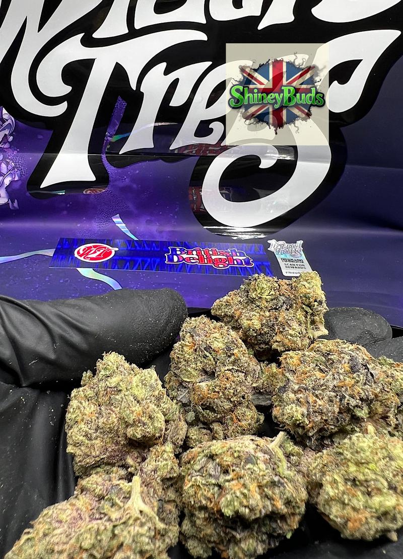 🇺🇸 British Delight WIZARD TREES