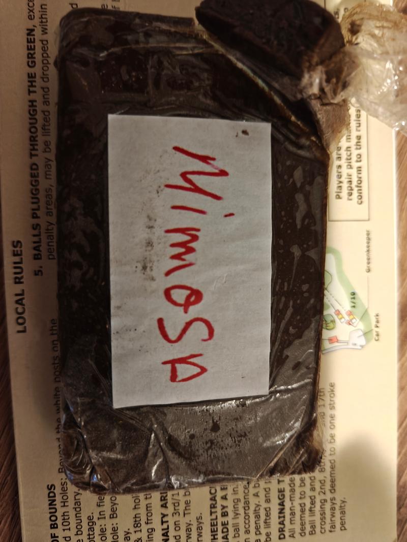 Mimosa Drytek