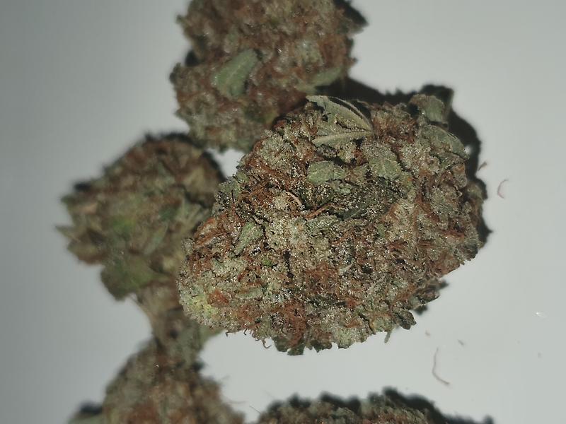 Stardawg