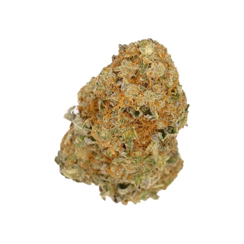 Divine Grade: Gorgeous Stardawg!
