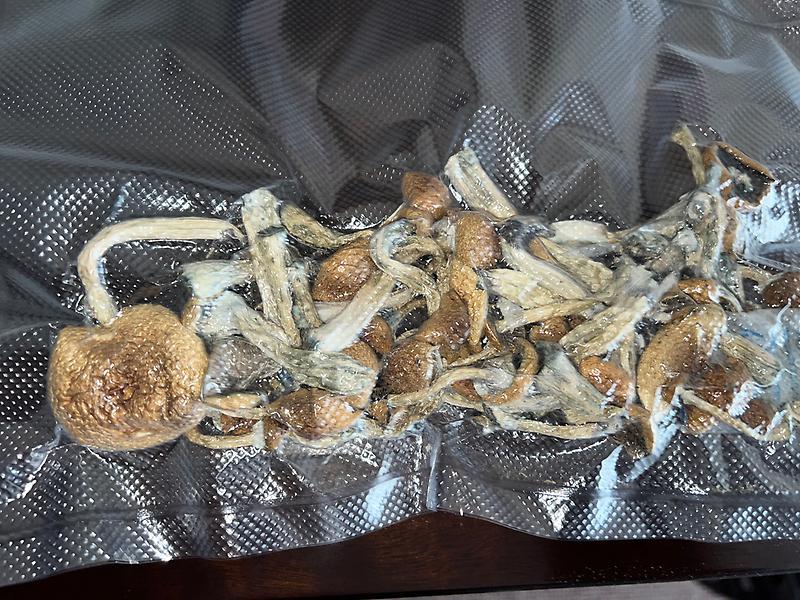 Magic Mushrooms: Stargazer