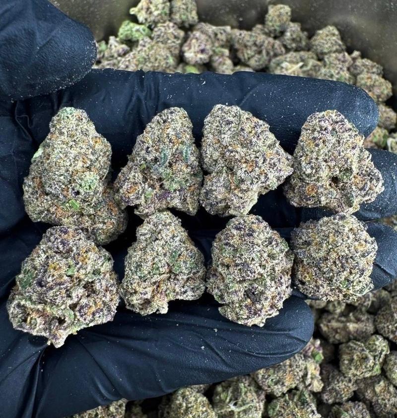 BOLO RUNTZ MEDICAL CANNABIS FREE DELIVERY