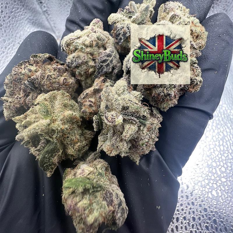 🇬🇧 Bluberry Sherbet