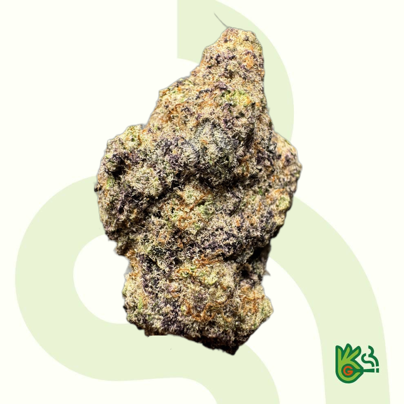 Purple Headbadn *Free Shipping*