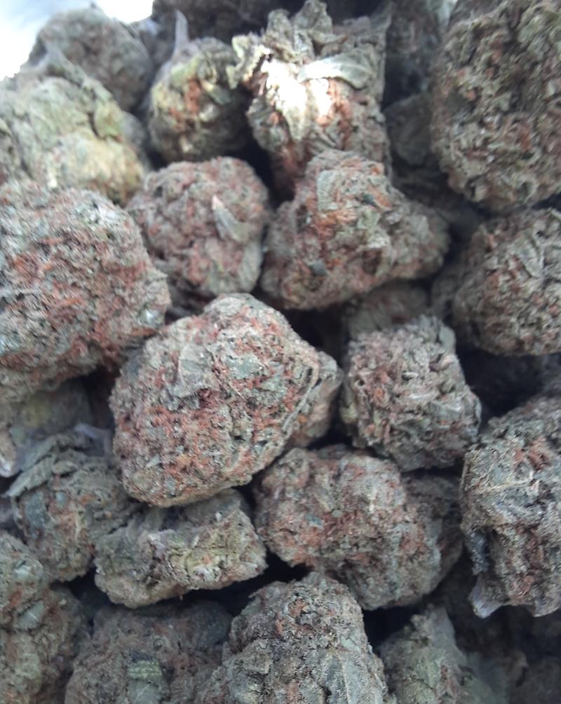 DOUBLE CROSS - INDICA DOMINANT