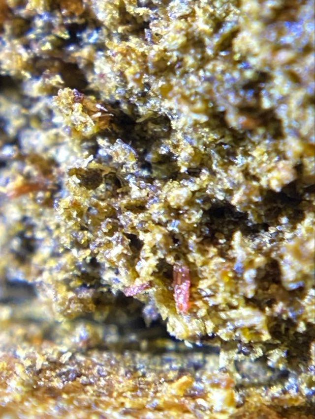 ZKITTLES GP DECARB HASH