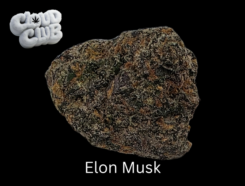 Elon Musky