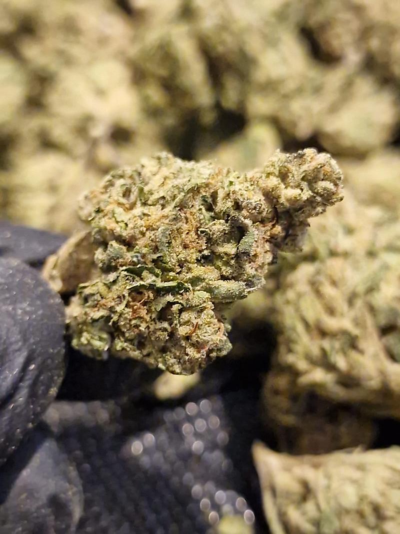 Super Dank Skywalker - Flavourful Juicy Nugs - Indica