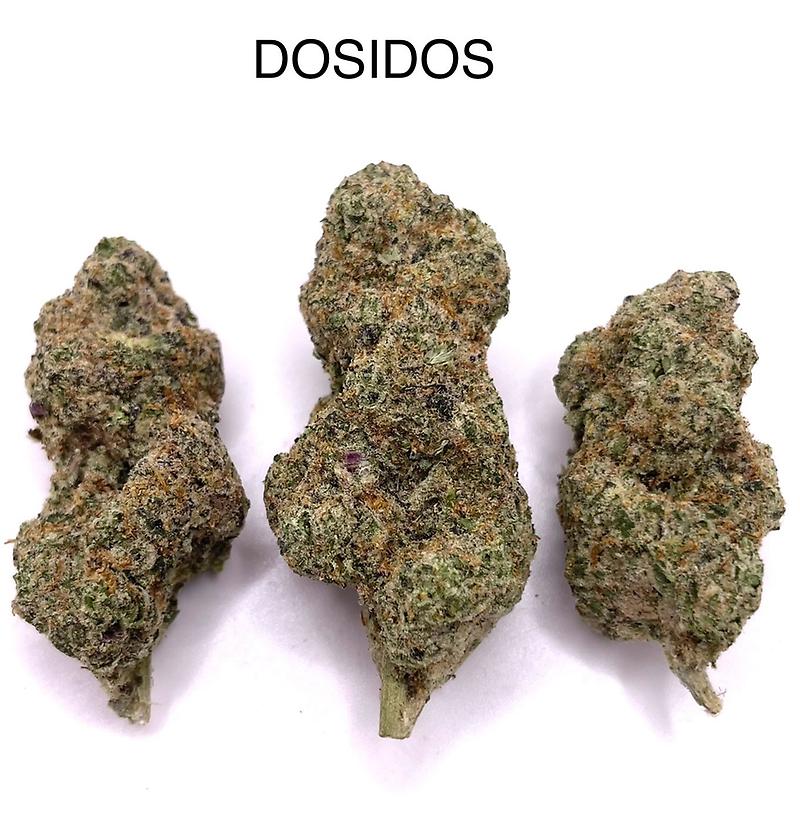 DOSIDOS