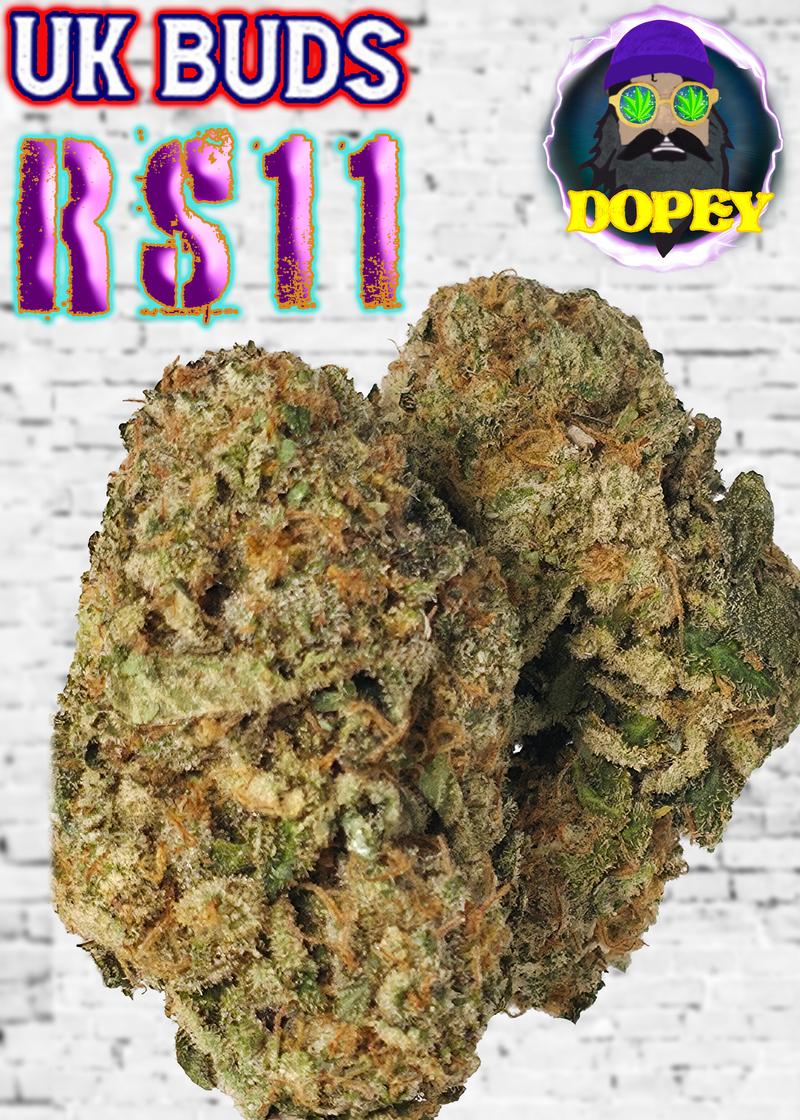 UK BUD'S