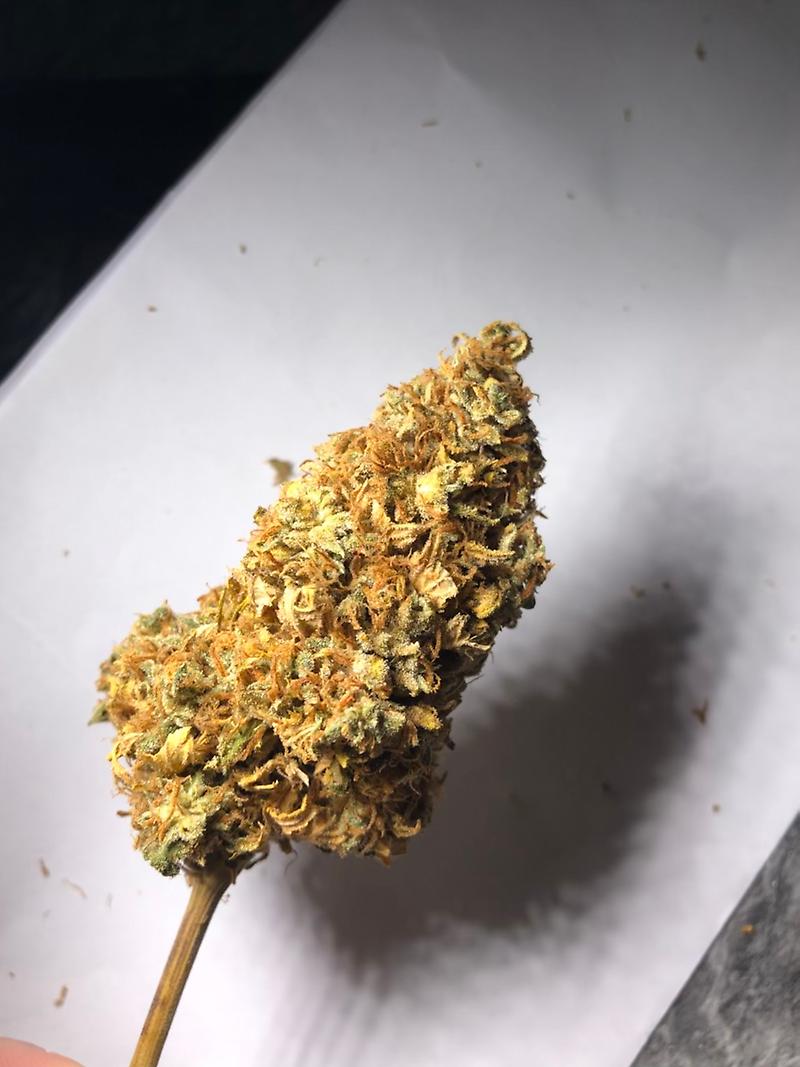 Blue Kush (Blueberry x OG Kush)