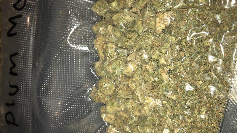 BUDS/SHAKE (CHECK DESCRIPTION FOR STRAINS)