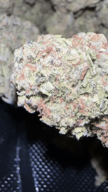 Mids [Import] 🇺🇸