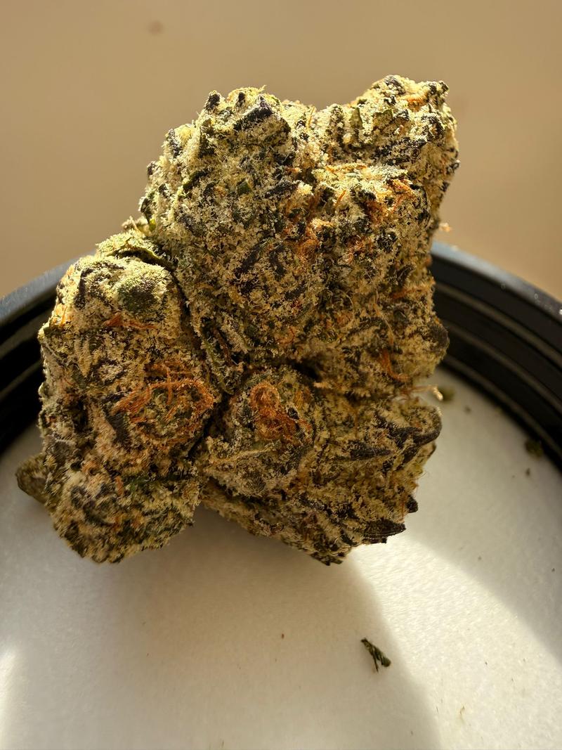 FRESH CANDYS -  LCG BX1