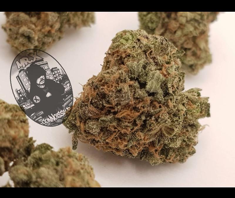 ***BAKLAVA***^^^PREMIUM^^^