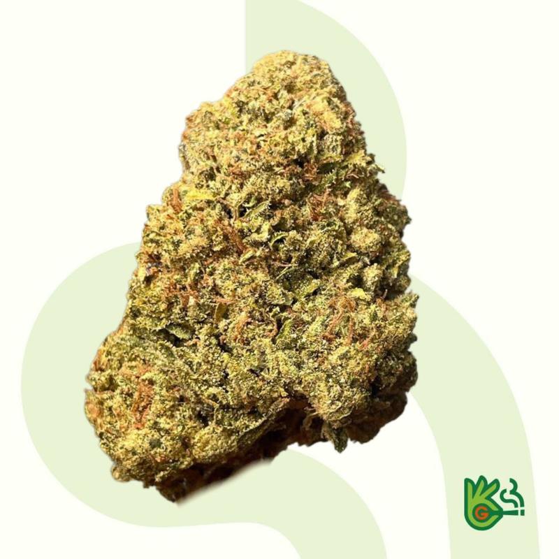 Gumbo *Free Shipping*