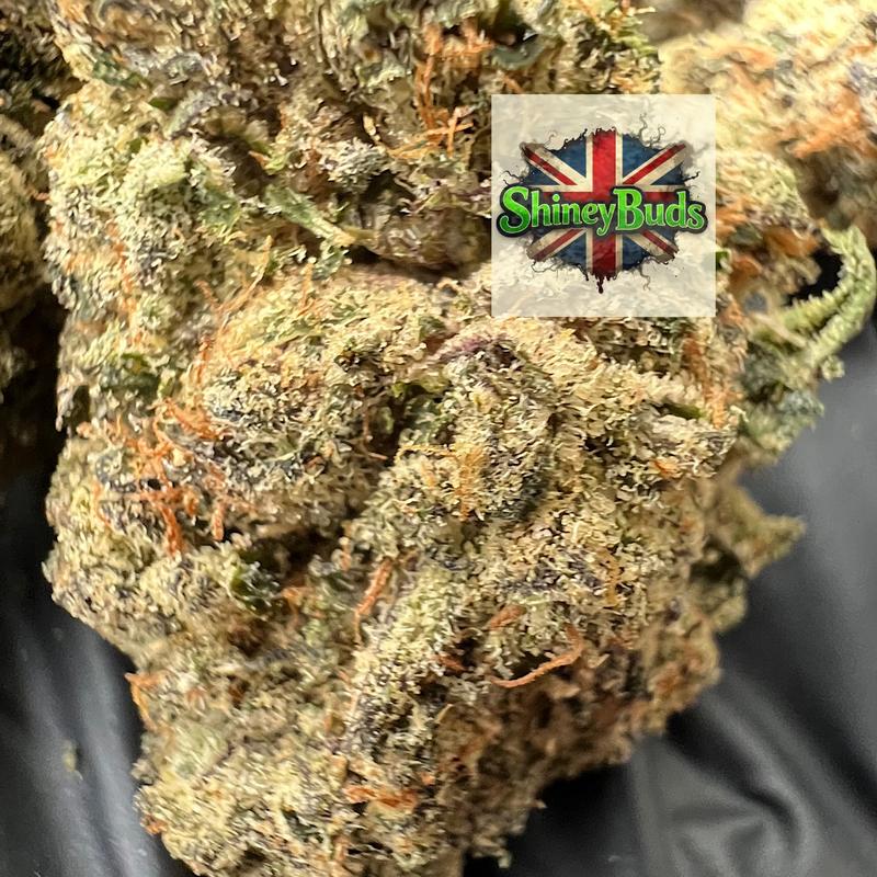 🇺🇸 Warheads By Superdope