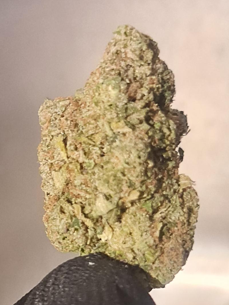 **El Chapo - (FREE RM 1ST CLASS)**