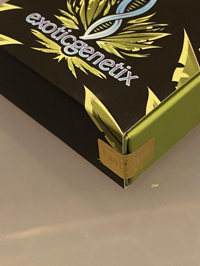 More Various Breeder Packs