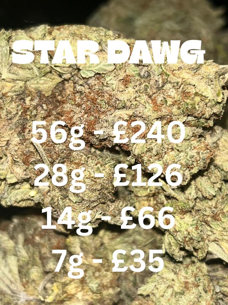 Stardawg